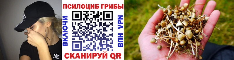 Купить где  Весьегонск  Галлюциногенные грибы ЛСД 