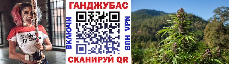 МАРИХУАНА планчик  Купить  Весьегонск 